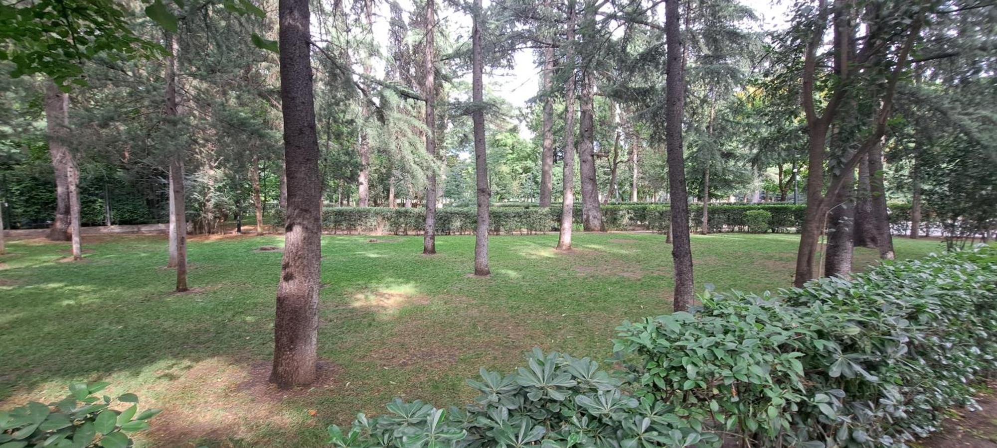 Holidays In Тбилиси Номер фото